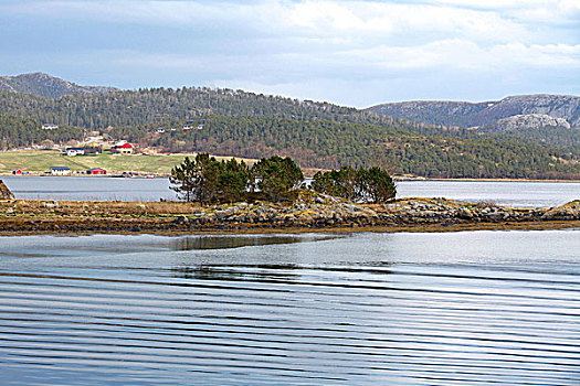 沿岸,挪威,风景,树,海岸,分开