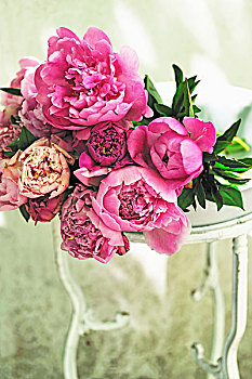 花束,粉色,牡丹