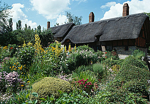 屋舍,斯特拉特福,英格兰,16世纪,家,妻子
