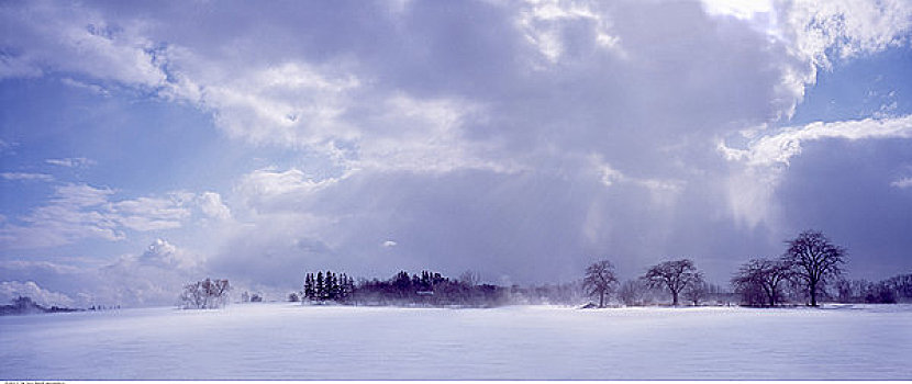 俯视,积雪,风景,阴天,安大略省,加拿大