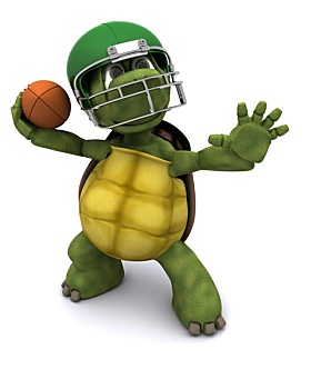 龟,投掷,美式橄榄球