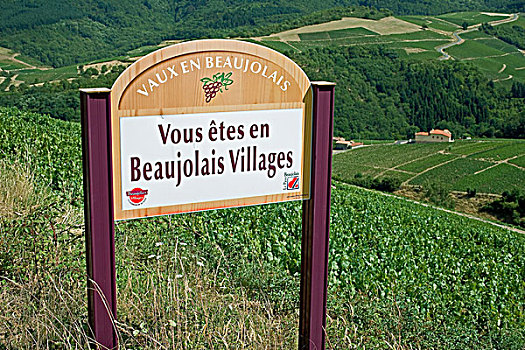 欢迎标志,葡萄园,博若莱葡萄酒,酒乡,罗纳河谷,法国