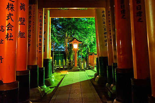 日本京都伏见稻荷大社千本鸟居夜景