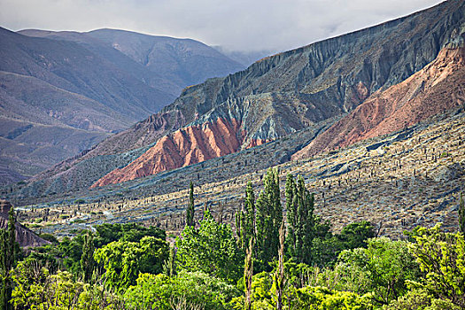 全景,茂密植被,普尔马马卡,河,后面,山,彩色,胡胡伊省,阿根廷,南美