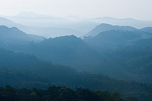山脉,遮盖,雾,喀拉拉,印度