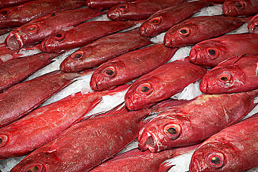 红色,鱼,出售,普通,大眼鲷,宝石大眼鲷,市场,塔希提岛,法属玻利尼西亚,大洋洲