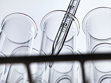 仰视,毕业,滴管,液体,试管