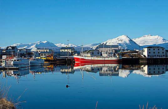 风景,渔船,积雪,山,港口,冰岛