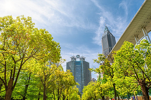 中国江苏南京的城市建筑道路草坪