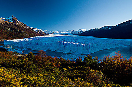莫雷诺冰川,水,阿根廷
