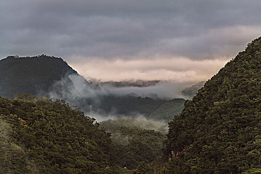 晨雾,山,阿尔泰,危地马拉,中美洲