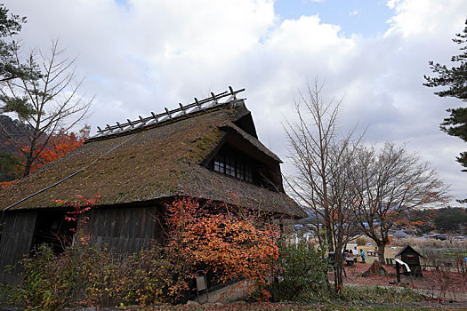 日本富士山河口湖里根场