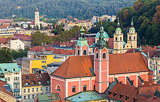 俯视图,老城,圣芳济修会,教堂,斯洛文尼亚