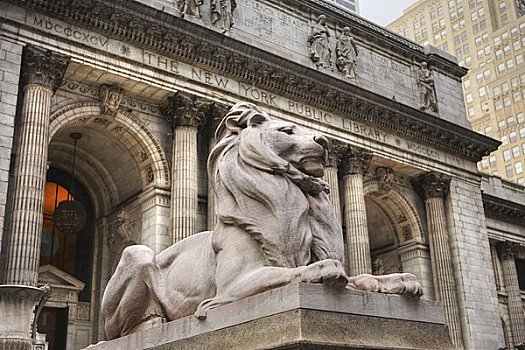 狮子,雕塑,正面,图书馆,纽约公共图书馆,纽约,美国