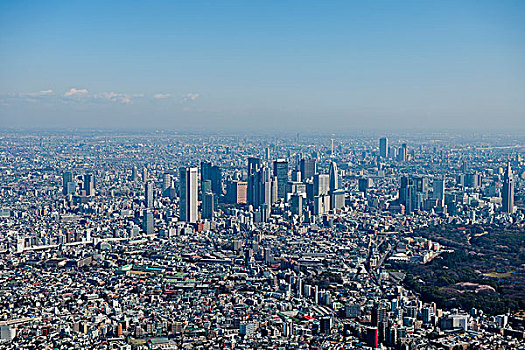 新宿,区域