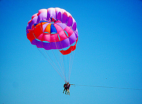 旅游,降落伞,果阿,海滩,印度,2008年