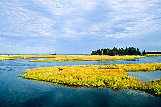 湿地,新斯科舍省,加拿大