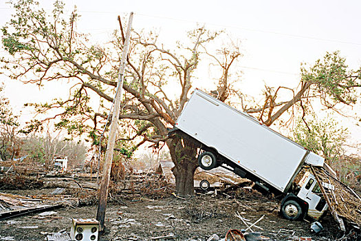 卡车,悬挂,树上,结果,飓风,教区,路易斯安那,美国