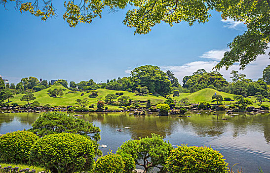 日本,九州,熊本,城市,花园