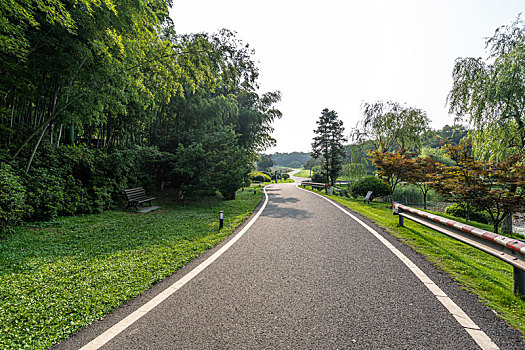 公园绿地与道路