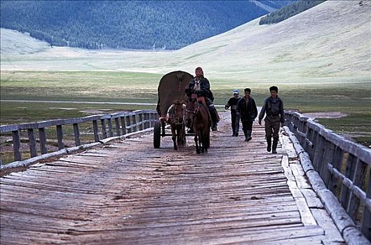 木桥,篷车,马,冒险者,哺乳动物,蒙古,亚洲,动物