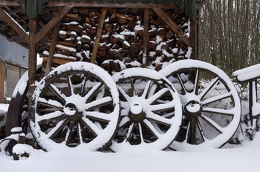木质,轮子,冬天,荷兰