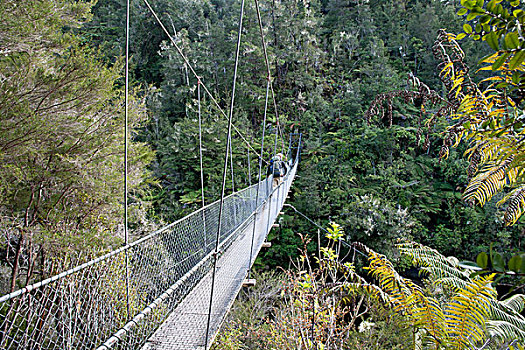 远足者,桥,上方,河,亚伯塔斯曼国家公园,纳尔逊,南岛,新西兰
