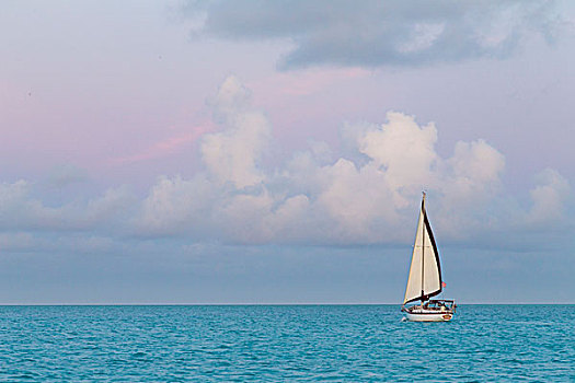 巴哈马,岛屿,帆船,日落,画廊