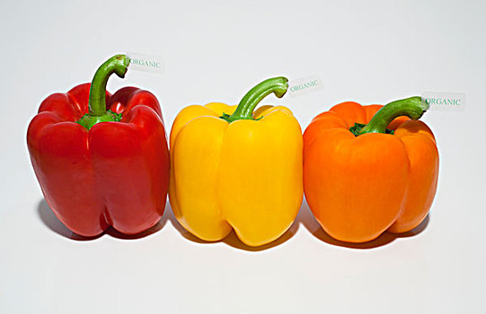 柿子椒,有机,标签,滑铁卢,魁北克,加拿大
