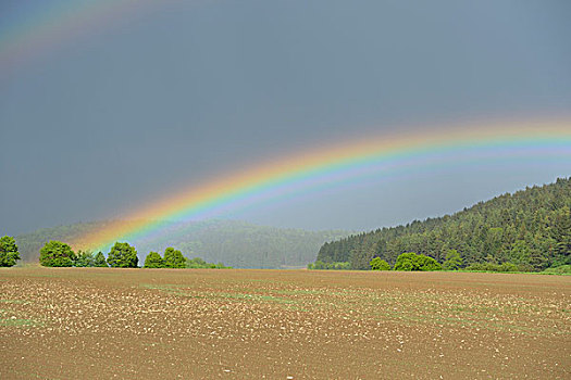 风景,彩虹,普拉蒂纳特,巴伐利亚,德国