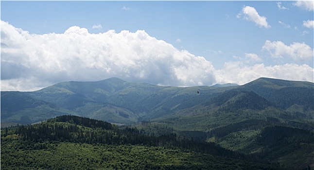 风景,飞,白鹳,乌克兰,喀尔巴阡山脉