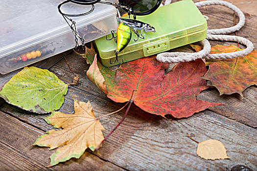 盒子,钓鱼,木板,叶子,秋天