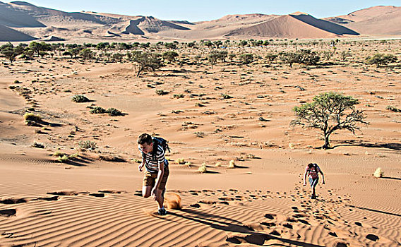 两个,青少年,跑,向上,沙丘,索苏维来地区,纳米布沙漠,纳米比亚,非洲