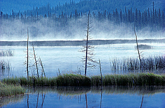 雾,碧玉国家公园,艾伯塔省,加拿大