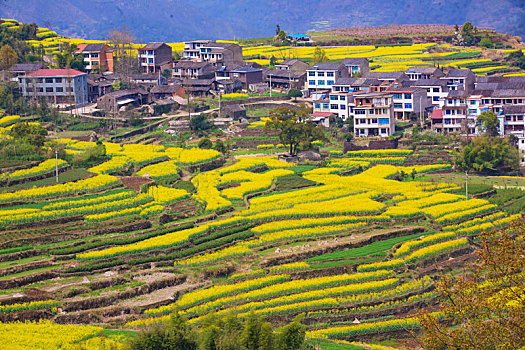 梯田,山村,春意