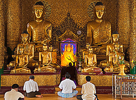 缅甸,仰光,虔诚,祈祷,正面,金色,佛像,一个,光环,发光,电灯,大金塔