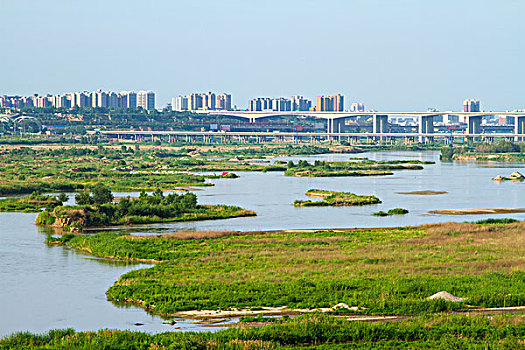 渭河湿地