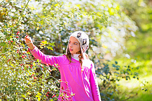 儿童,冬天,女孩,挑选,浆果,树林,羊毛帽