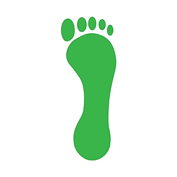 绿色,脚印,脚部,脚趾