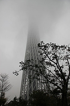 雨雾中的广州塔,小蛮腰