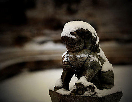 北京,冬天,雪,下,石狮子