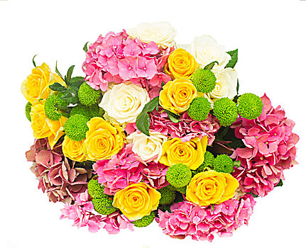 粉色,绣球花,束,花,玫瑰,隔绝,白色背景,背景