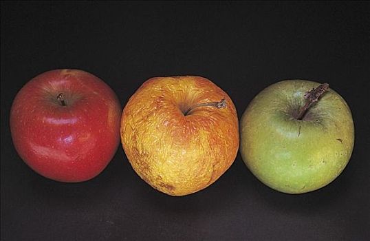 红色,绿色,褶皱,黄色,苹果,水果,食物