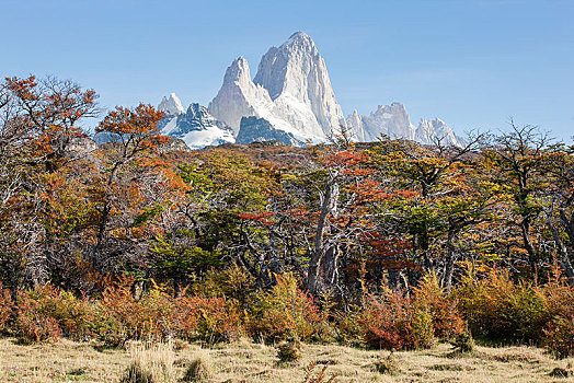 山丘,树林,秋天,洛斯格拉希亚雷斯国家公园,阿根廷,南美