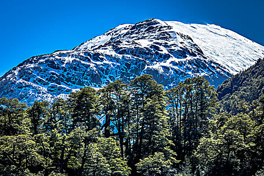 山顶,山,纳韦尔瓦皮,国家公园,阿根廷