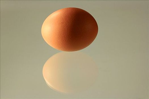 红皮鸡蛋,形状,反射