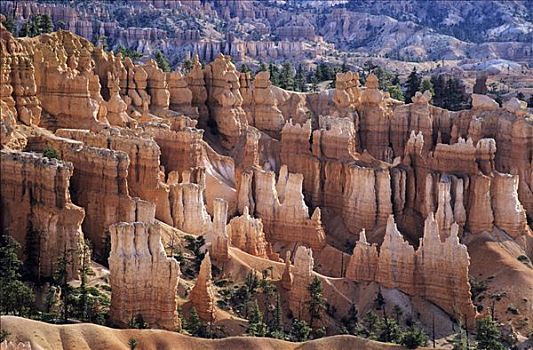 岩石构造,峡谷,犹他,美国