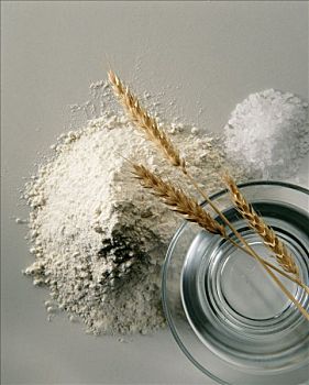 面粉,盐,水,小麦,棚拍