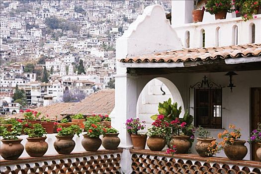 盆栽,露台,塔斯科,墨西哥