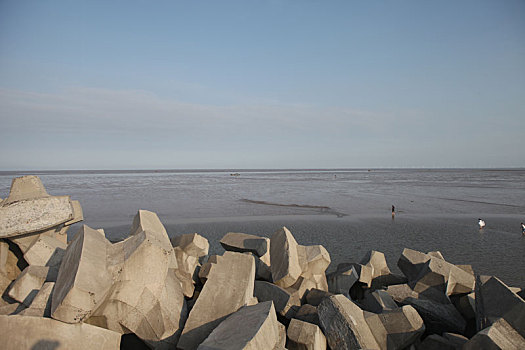 防浪堤,地平线,海平面,女孩,散步